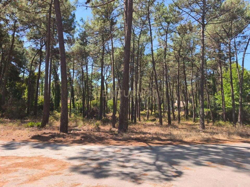 Helårsgrund i Almada, Setubal - foto 5