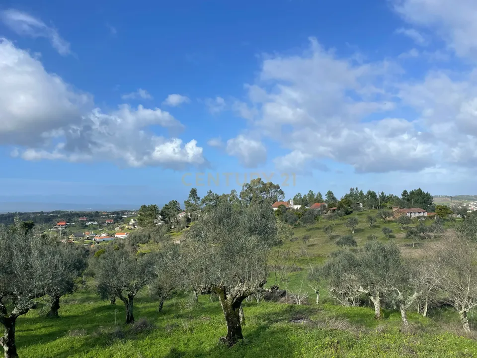 Helårsgrund i Abrantes, Santarem - foto 3