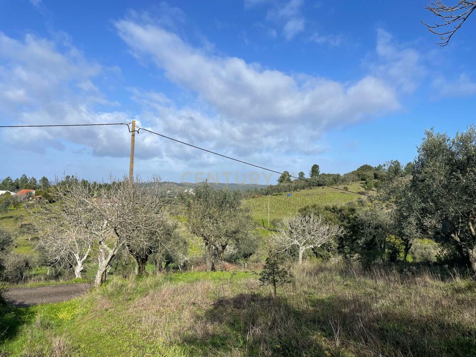 Helårsgrund i Abrantes, Santarem - foto 1