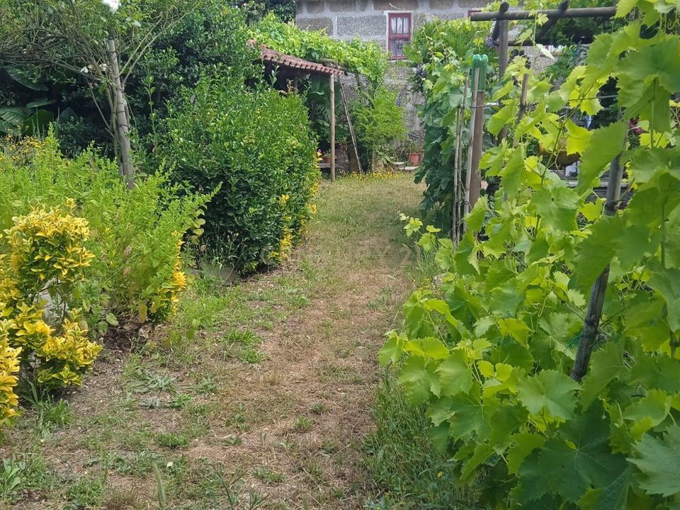 Villa a Santa Cruz do Douro e Sao Tome de Covelas, Porto - foto 2