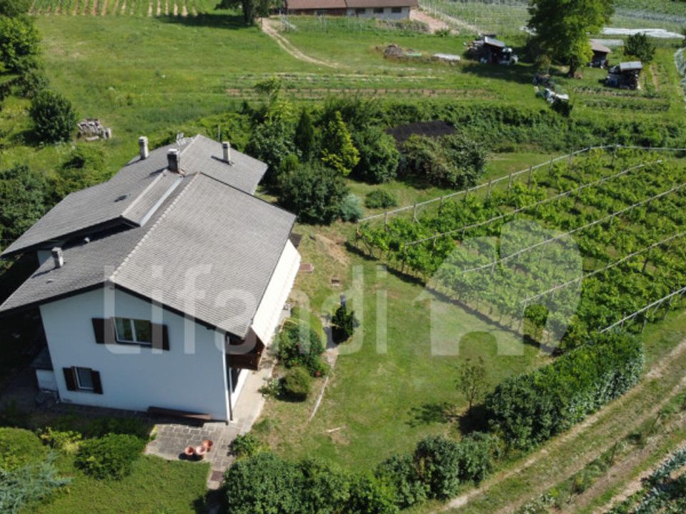 Villa i Trento, Trento - foto 3