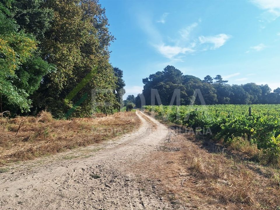 Farm i Vila Nova de Famalicao, Braga - foto 1