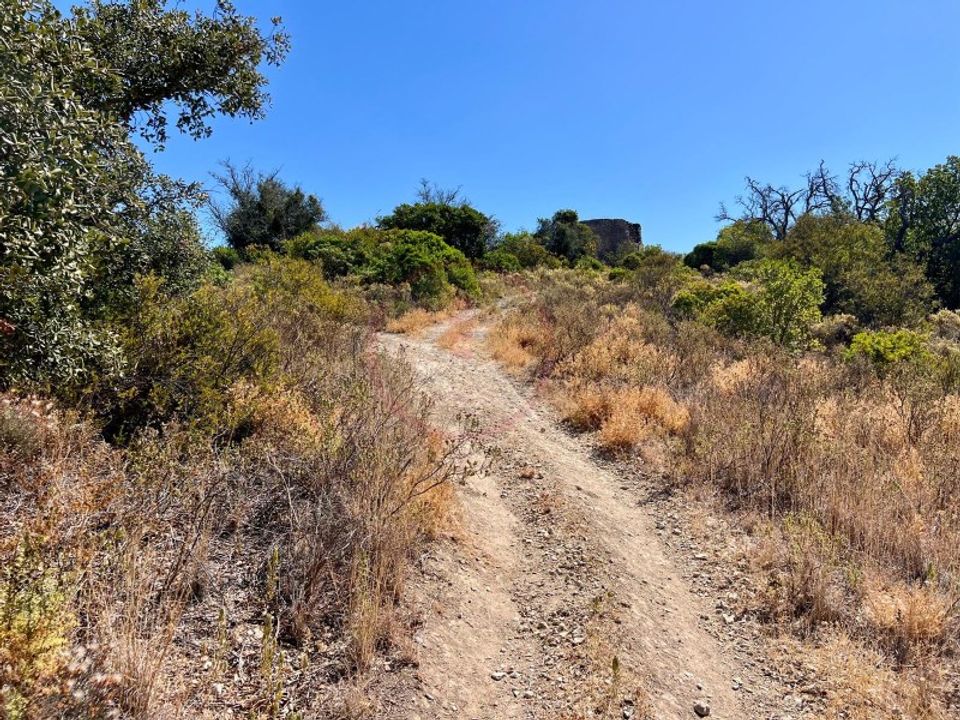 Helårsgrund i Santa Barbara de Nexe, Faro - foto 3