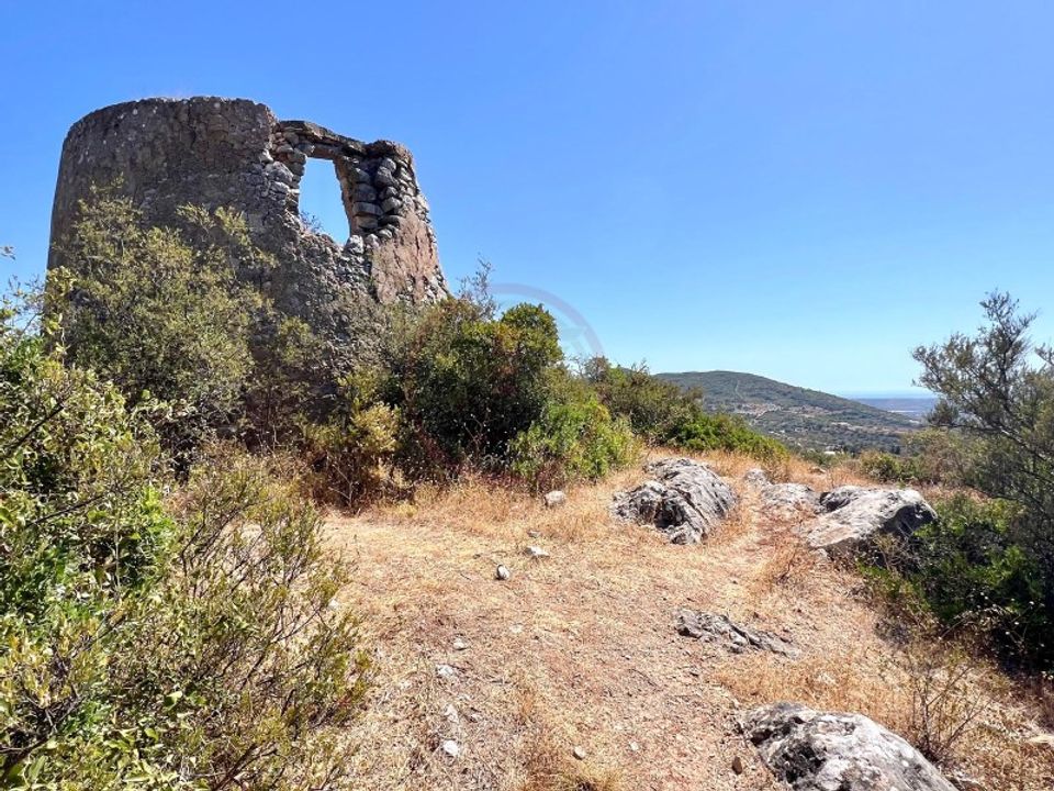 Helårsgrund i Santa Barbara de Nexe, Faro - foto 5