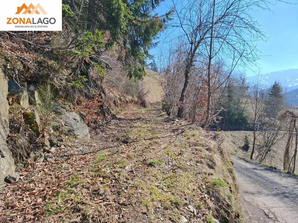 Herregård i Pisogne, Brescia - bilde 5
