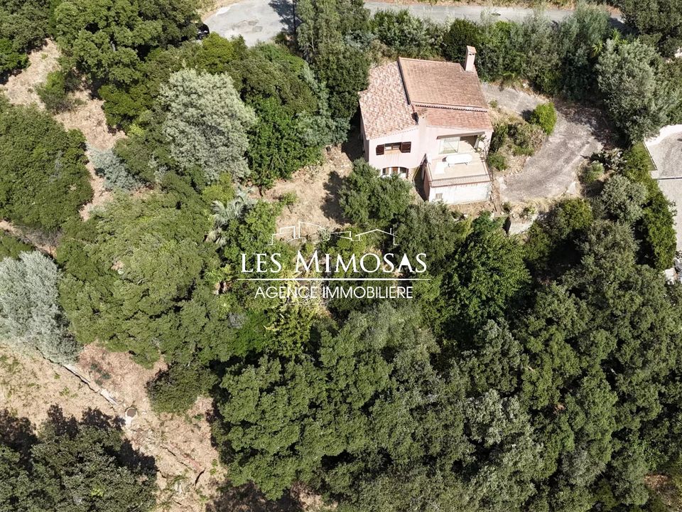 Villa i Roquebrune-sur-Argens, Var - foto 2