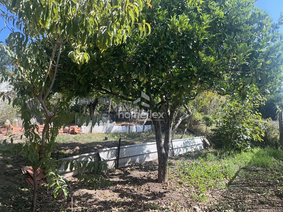 Villa i Figueira da Foz, Coimbra - foto 3