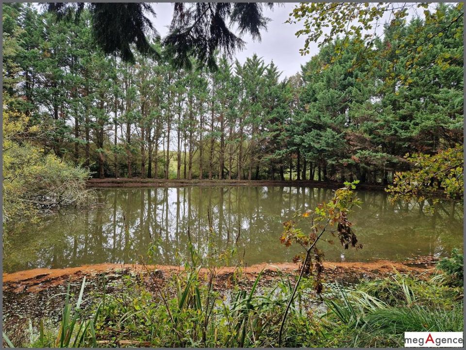 Helårsgrund i Pipriac, Ille-et-Vilaine - foto 4