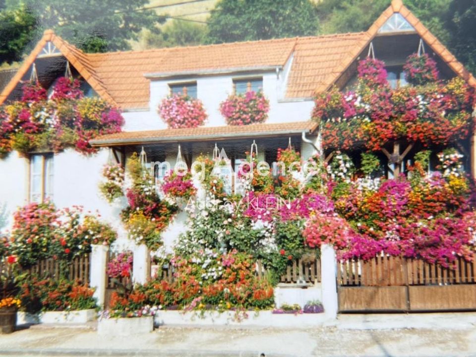 Byhus i Paron, Yonne - foto 2
