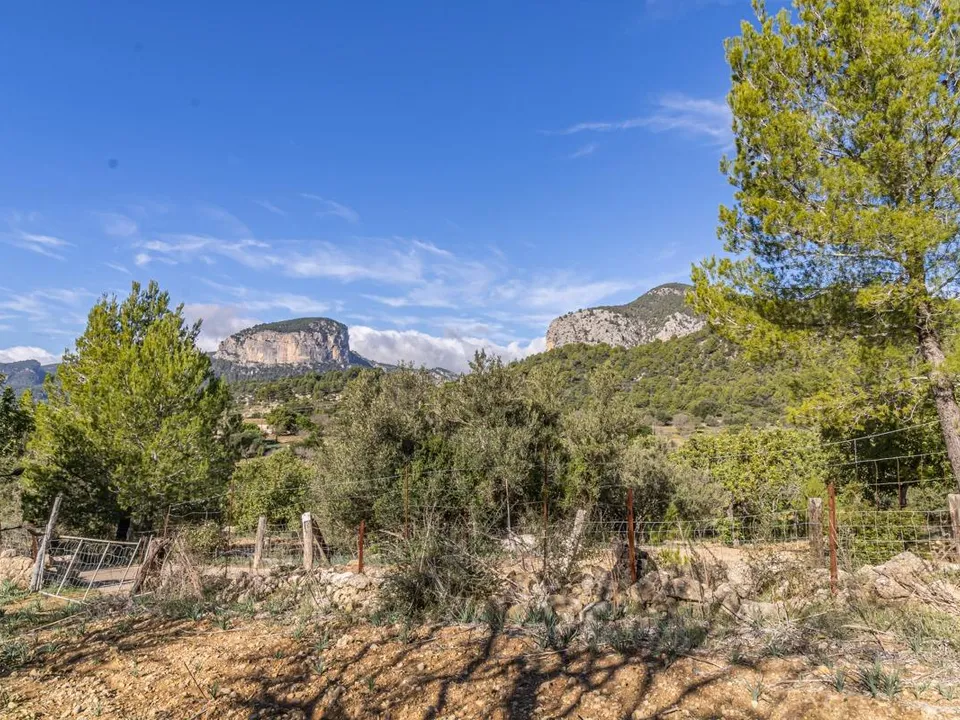 Landejendom i Alaro, Mallorca - foto 1