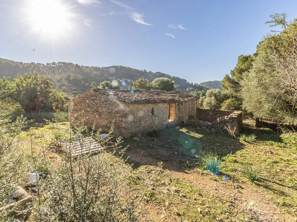 Landejendom i Alaro, Mallorca - foto 2