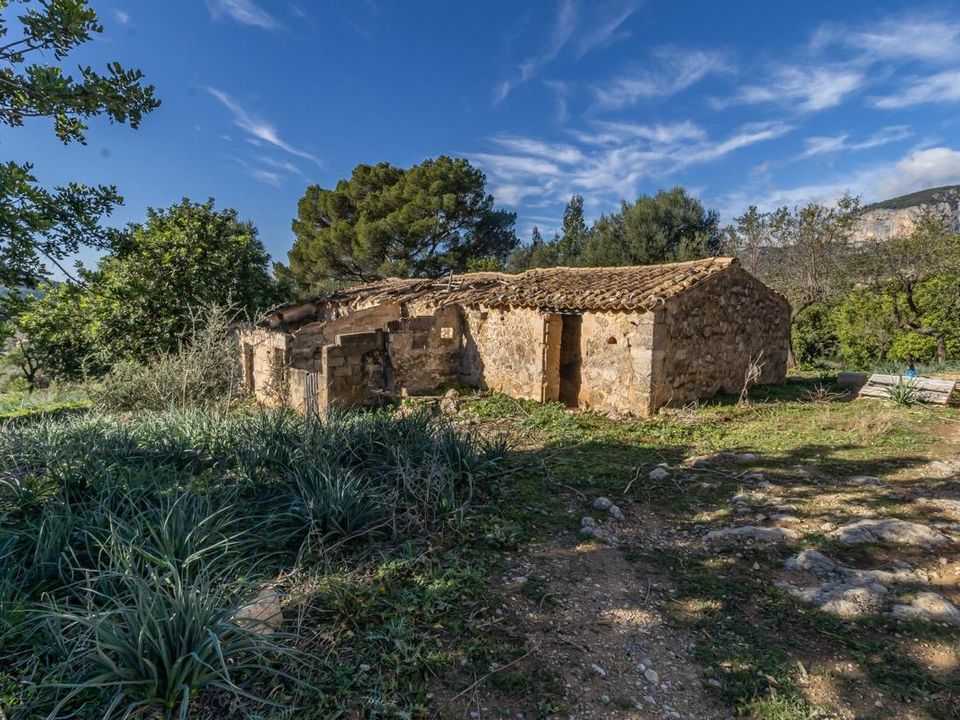 Landejendom i Alaro, Mallorca - foto 3