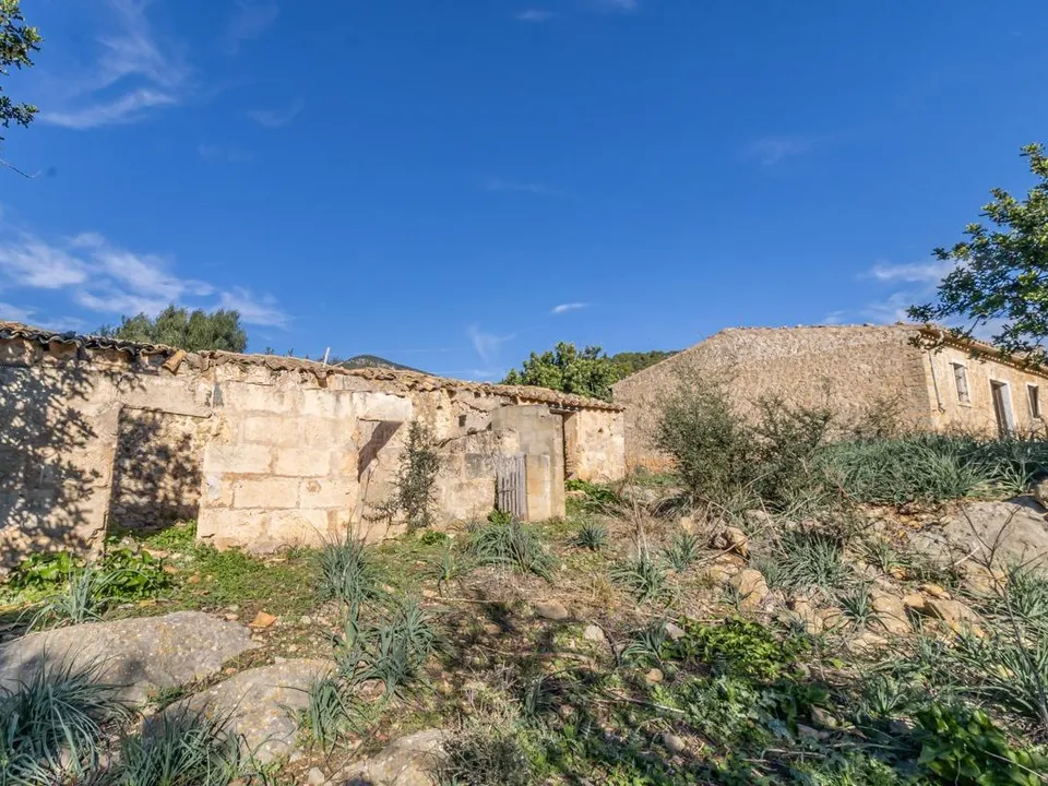 Landejendom i Alaro, Mallorca - foto 4