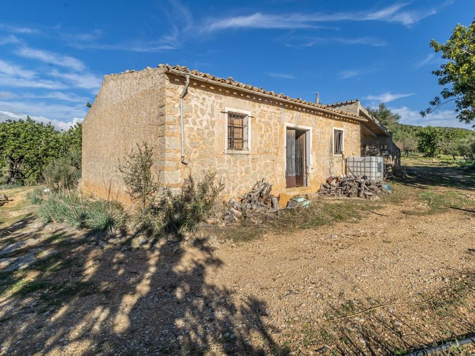 Landejendom i Alaro, Mallorca - foto 5