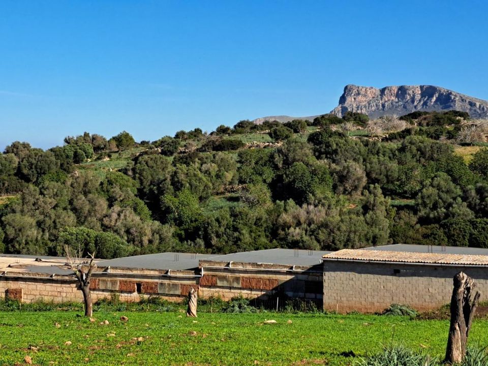 Landejendom i Sant Llorenc Des Cardassar, Mallorca - foto 2