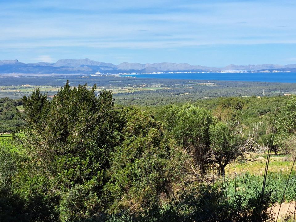 Landejendom i Sant Llorenc Des Cardassar, Mallorca - foto 5