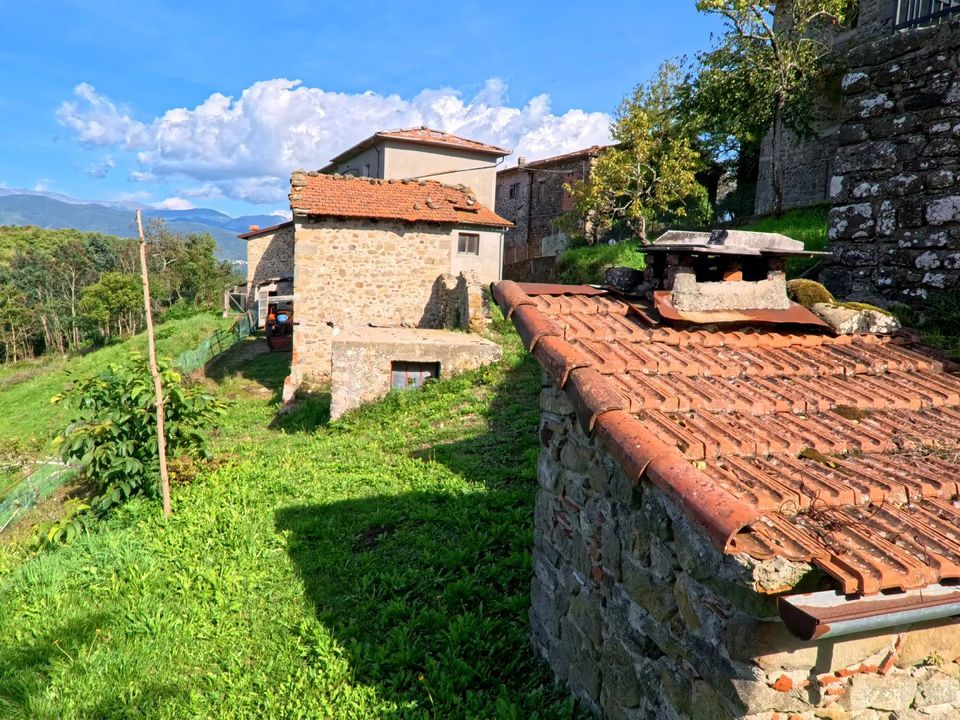 Herregård i Minucciano, Lucca - bilde 1
