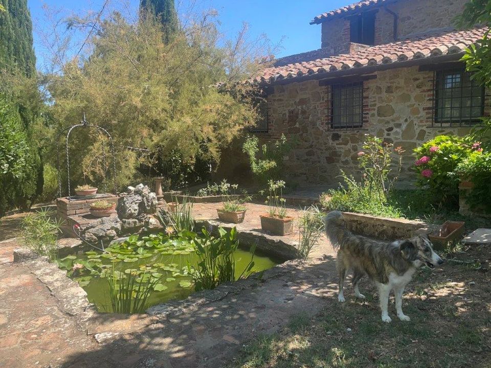 Farm hus i Piegaro, Perugia - foto 3