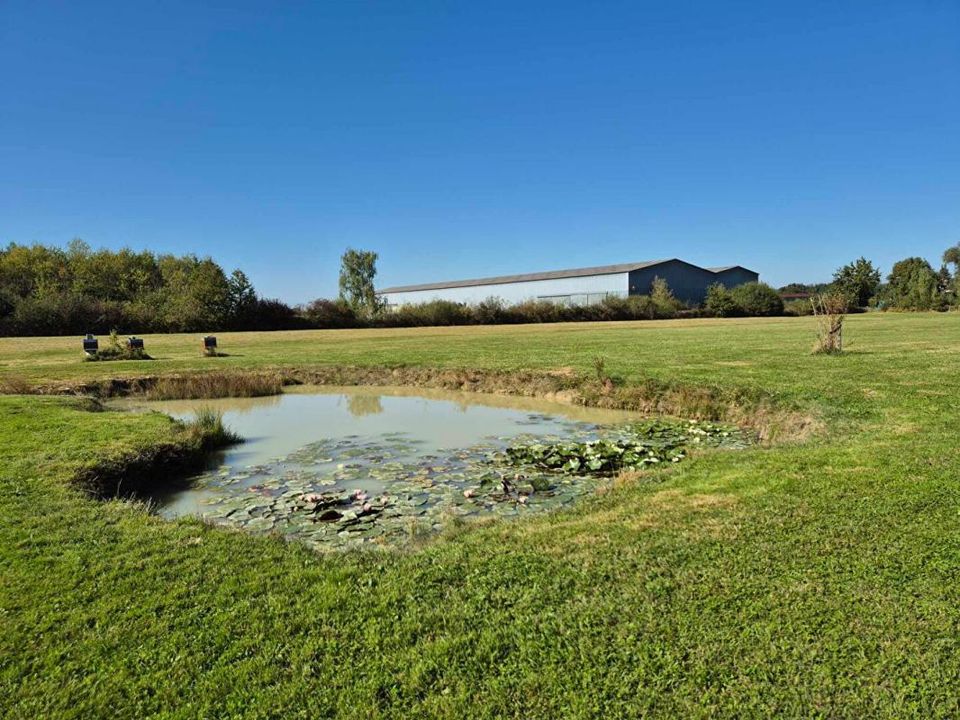 Villa i Branges, Saone-et-Loire - foto 2
