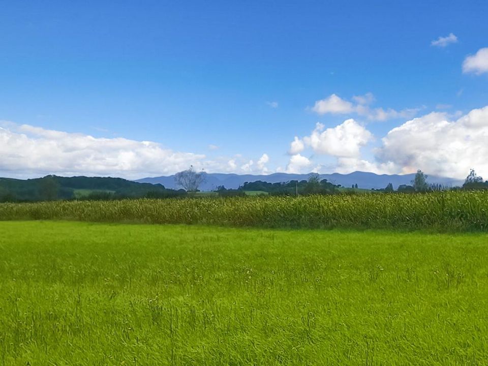 Helårsgrund i Bidache, Pyrenees-Atlantiques - foto 2