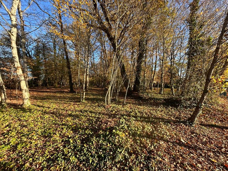 Helårsgrund i Marsac-sur-lIsle, Dordogne - foto 2
