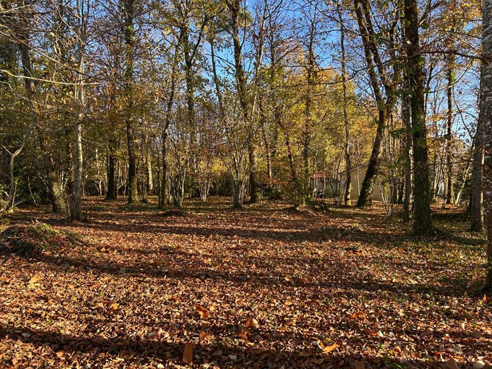 Helårsgrund i Marsac-sur-lIsle, Dordogne - foto 3