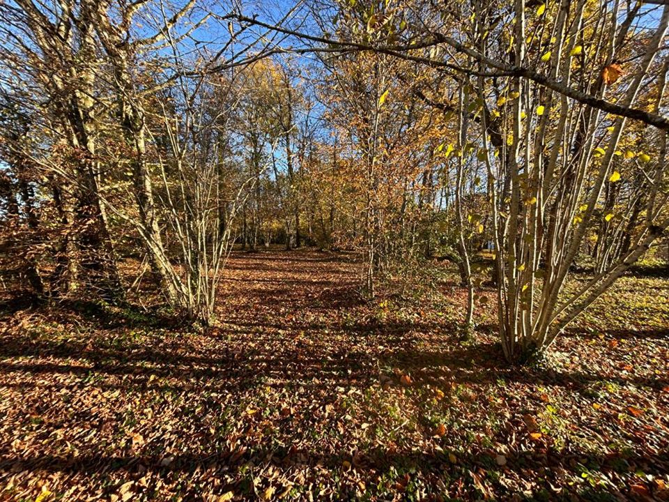 Helårsgrund i Marsac-sur-lIsle, Dordogne - foto 4