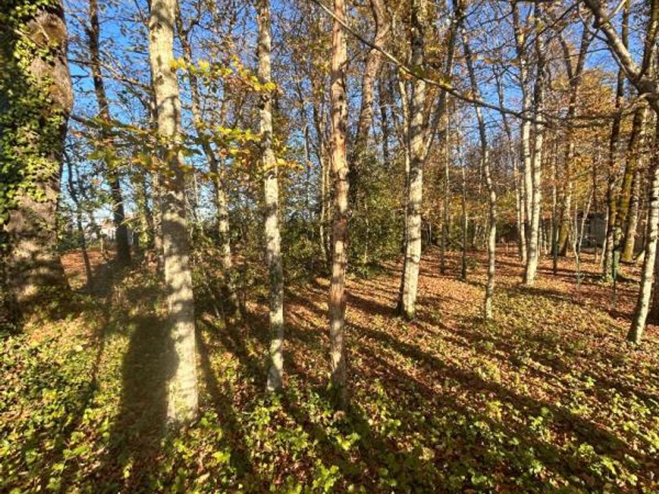 Helårsgrund i Marsac-sur-lIsle, Dordogne - foto 5