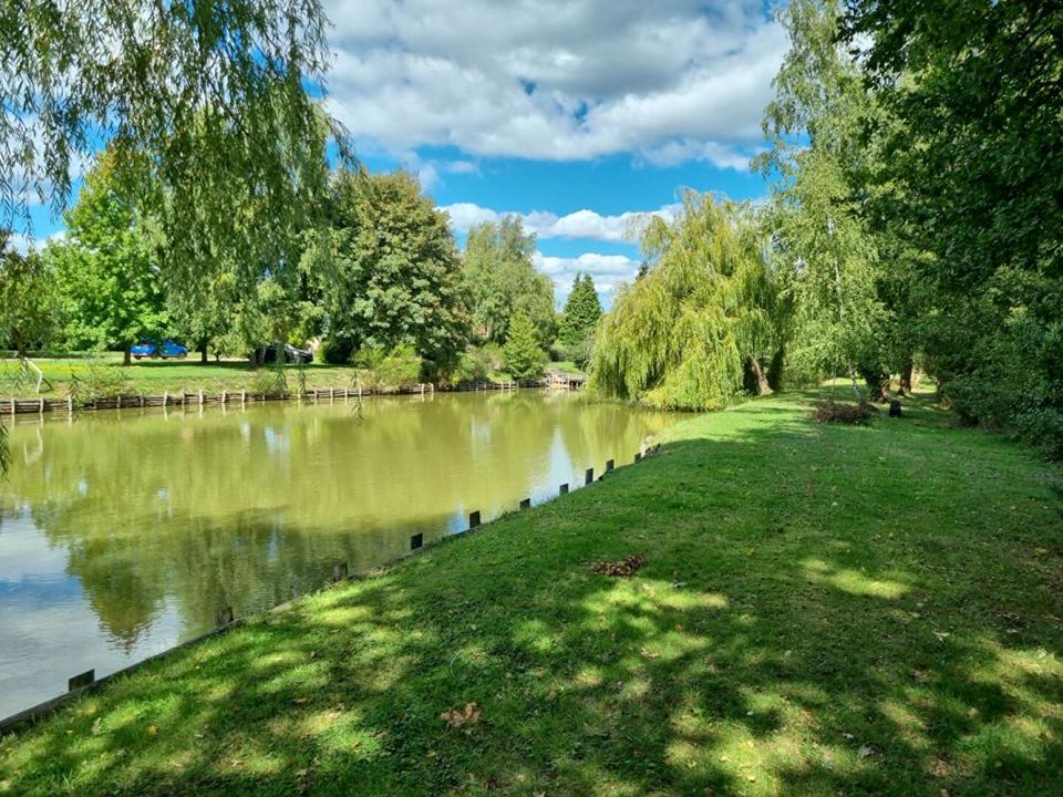Villa i Ouzouer-sur-Loire, Loiret - foto 3