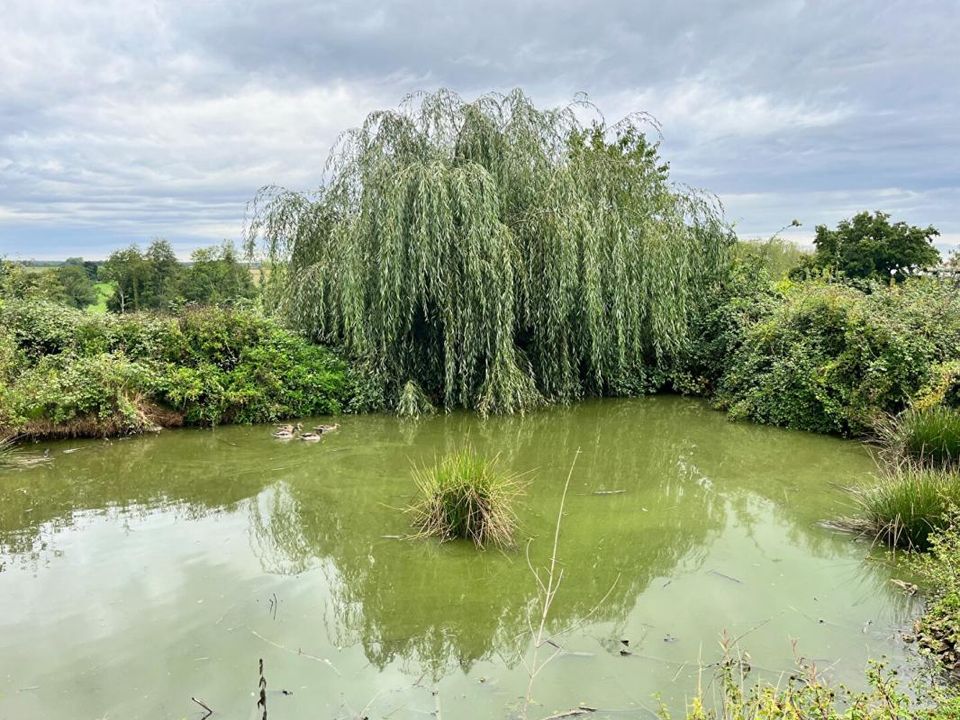 Villa i Yzeure, Allier - bilde 2
