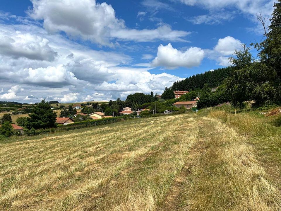 Terra a Violay, Loire - foto 5