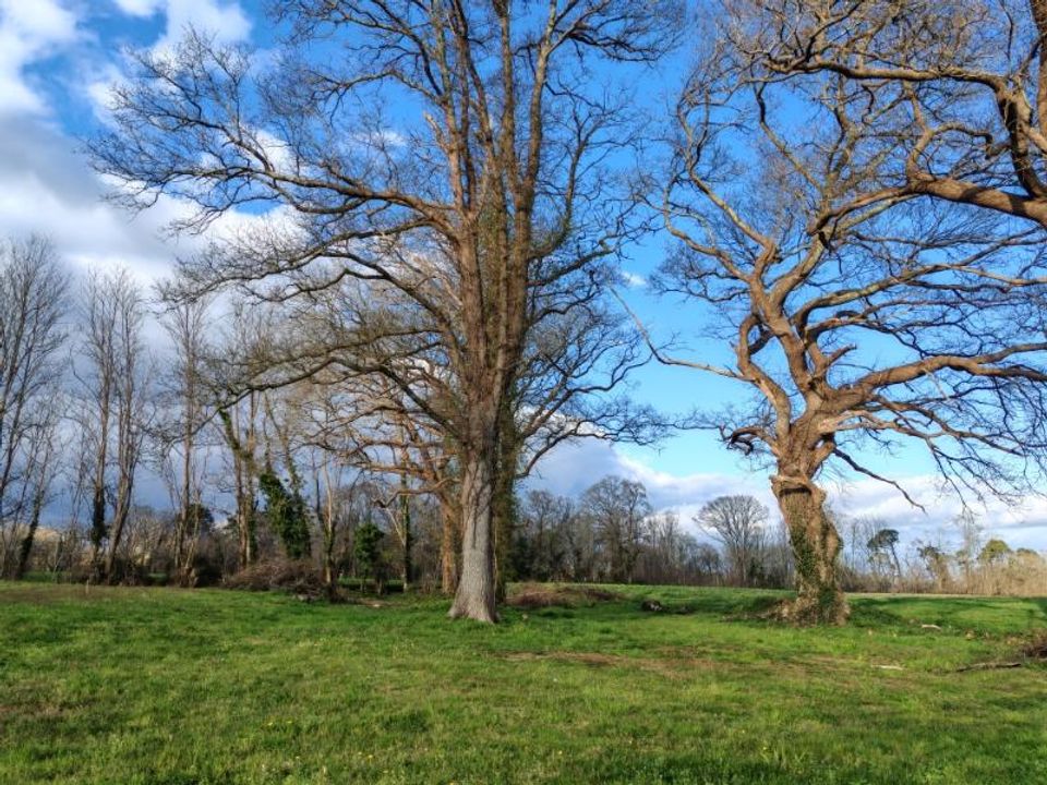 Farm hus i Dax, Landes - foto 3