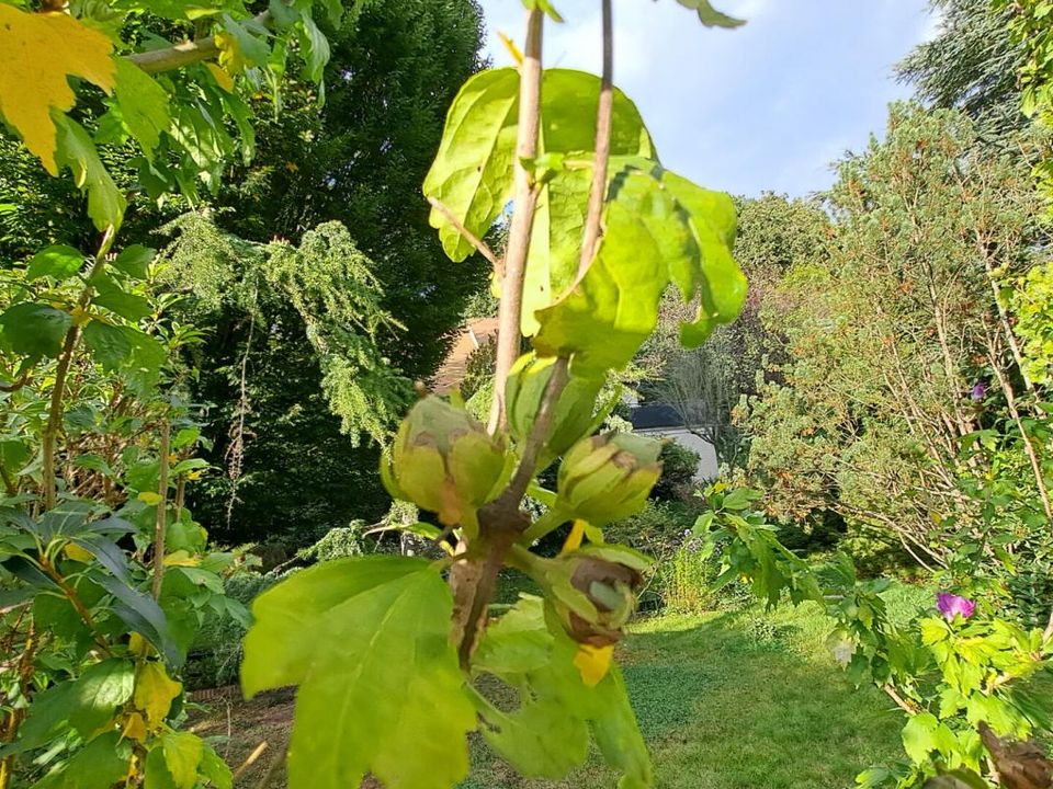Grundstück in Les Essarts-le-Roi, Yvelines - Foto 1