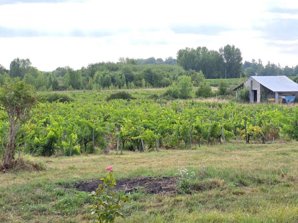 Erhvervsejendom i Blaye, Gironde - foto 4