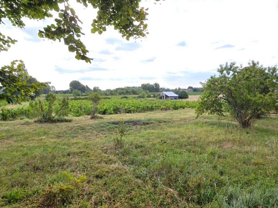 Erhvervsejendom i Blaye, Gironde - foto 5