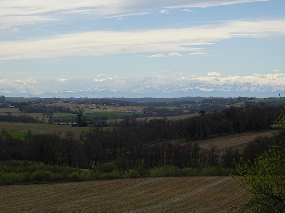 Villa i Caupenne, Landes - foto 3