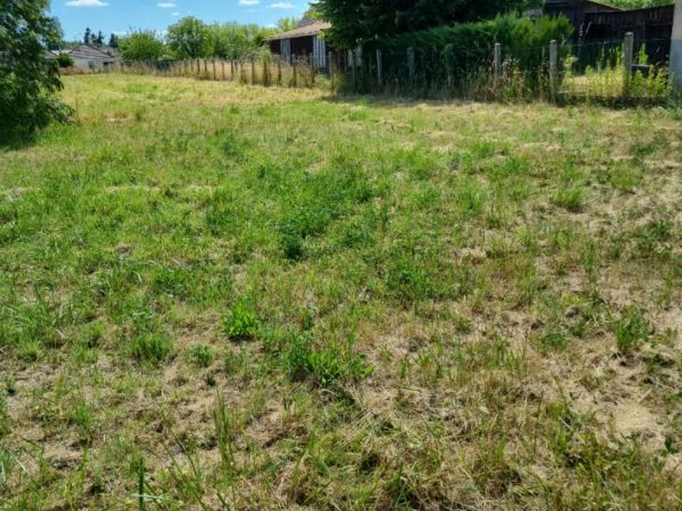 Helårsgrund i Lorris, Loiret - foto 3