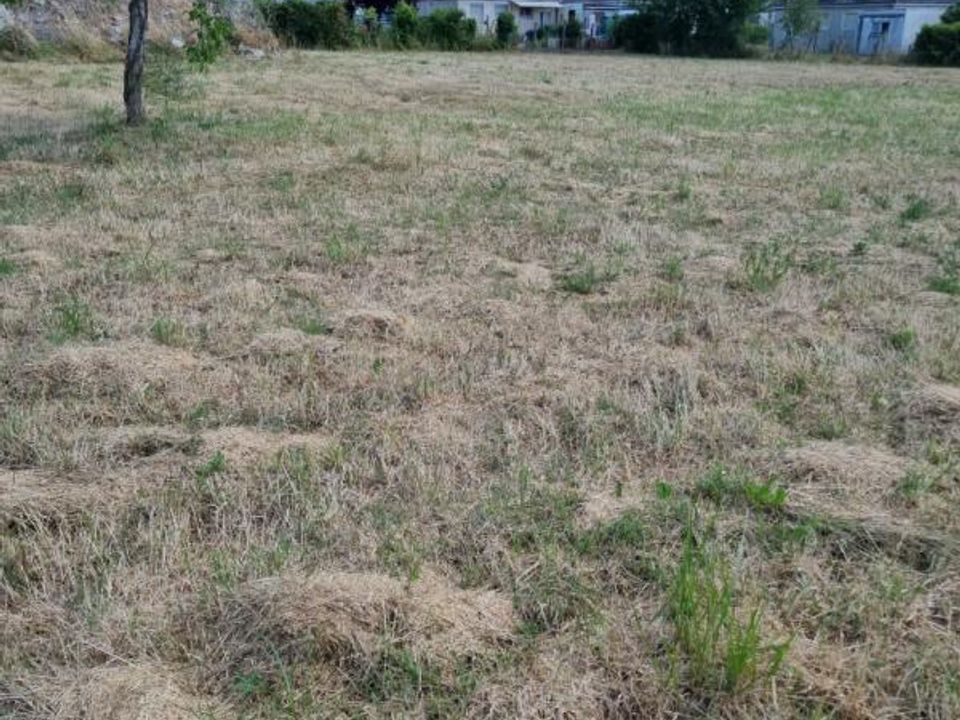 Helårsgrund i Lorris, Loiret - foto 4