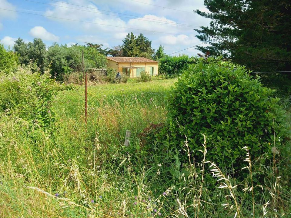 Helårsgrund i Espondeilhan, Herault - foto 1