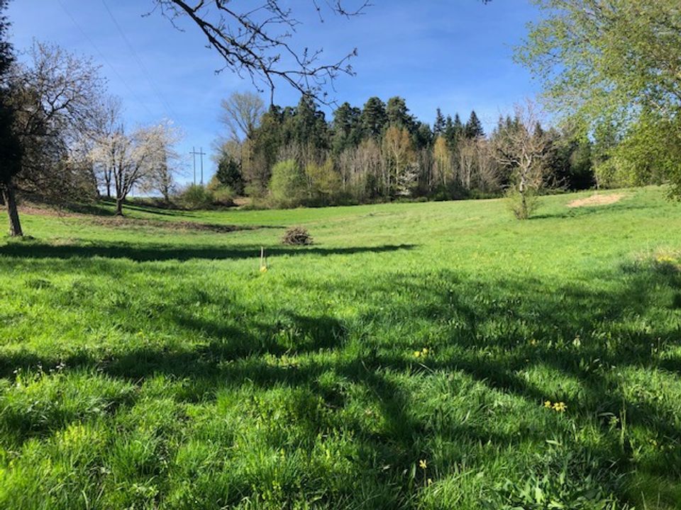 Helårsgrund i Thiers, Puy-de-Dome - foto 1