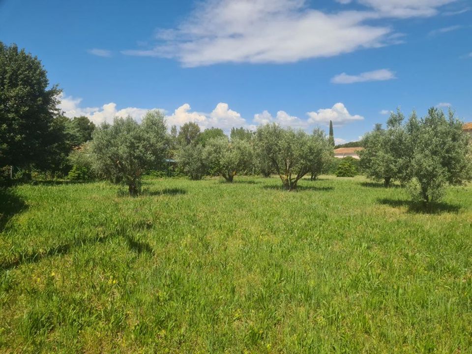 Tomt i Paulhan, Herault - bilde 1