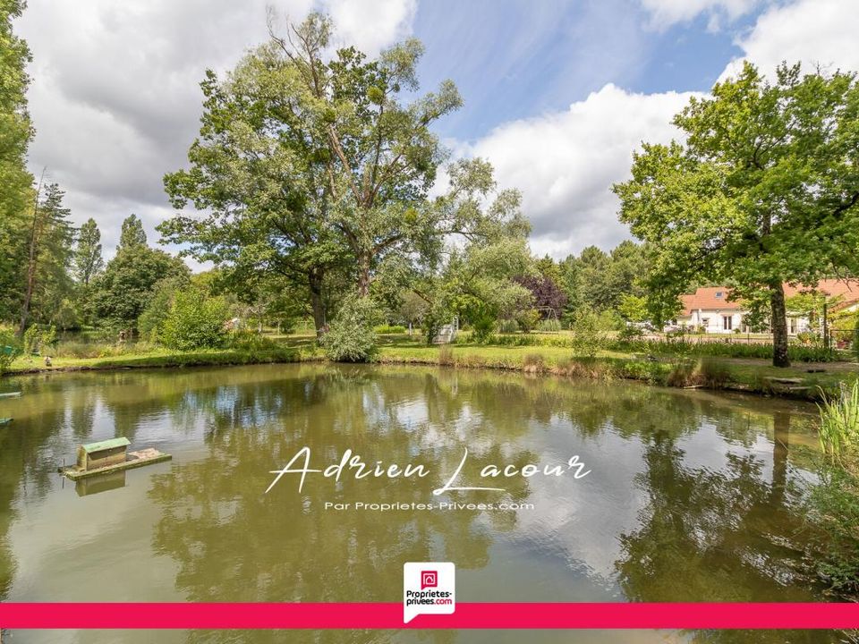 Villa i Pruniers-en-Sologne, Loir-et-Cher - foto 2