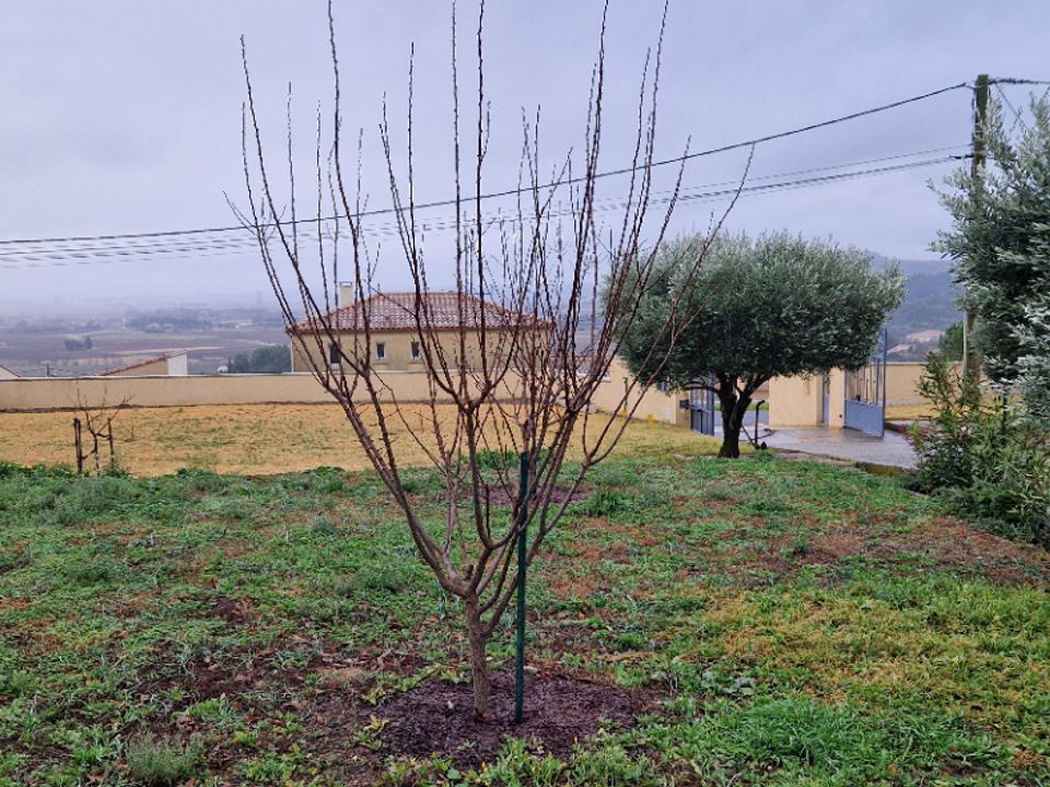 Helårsgrund i Peret, Herault - foto 1