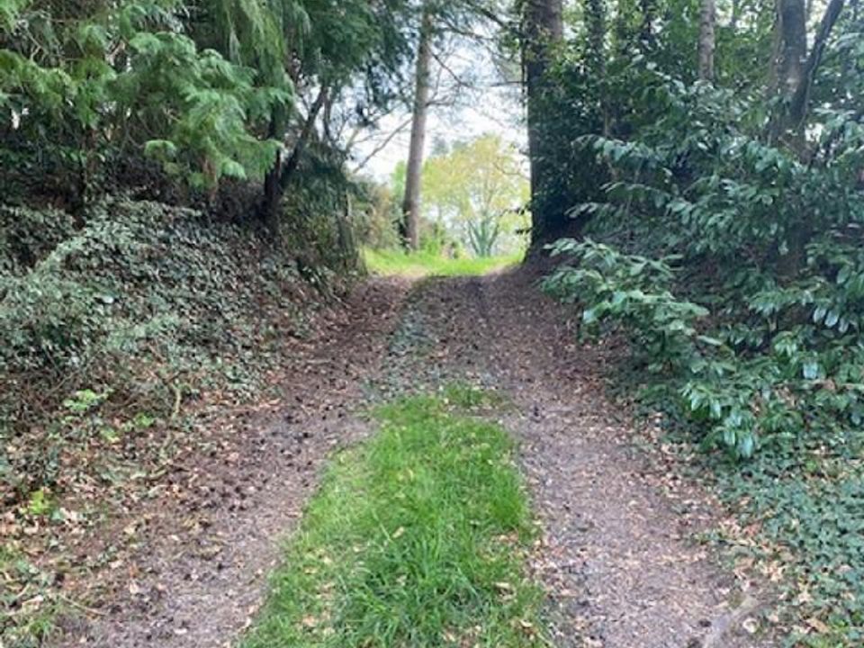 Tomt i Molac, Morbihan - bilde 3