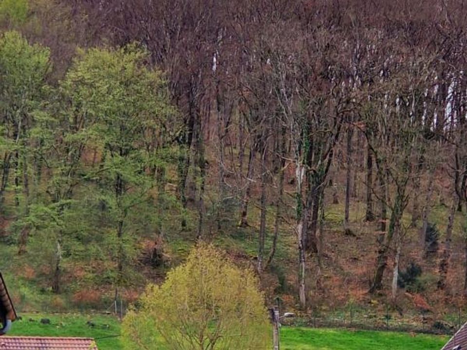 Villa i Pont-de-Roide-Vermondans, Doubs - foto 3