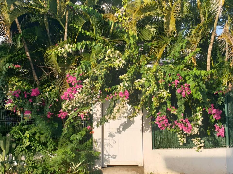 Lejlighed i Sainte-Luce, Martinique - foto 4