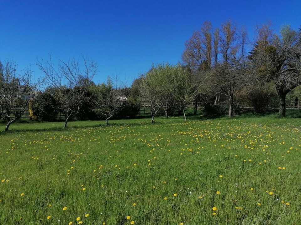 Helårsgrund i Ploermel, Morbihan - foto 4