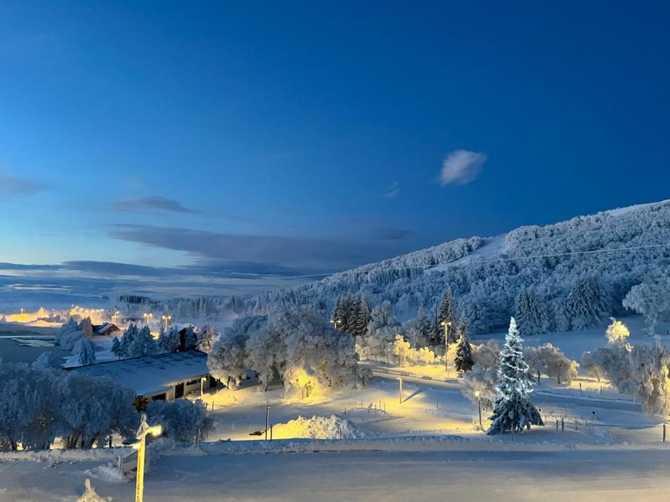 Erhvervsejendom i Khozhaynovo, Puy-de-Dome - foto 1