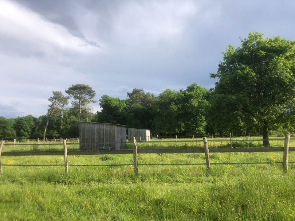 Villa i Langon, Gironde - foto 2