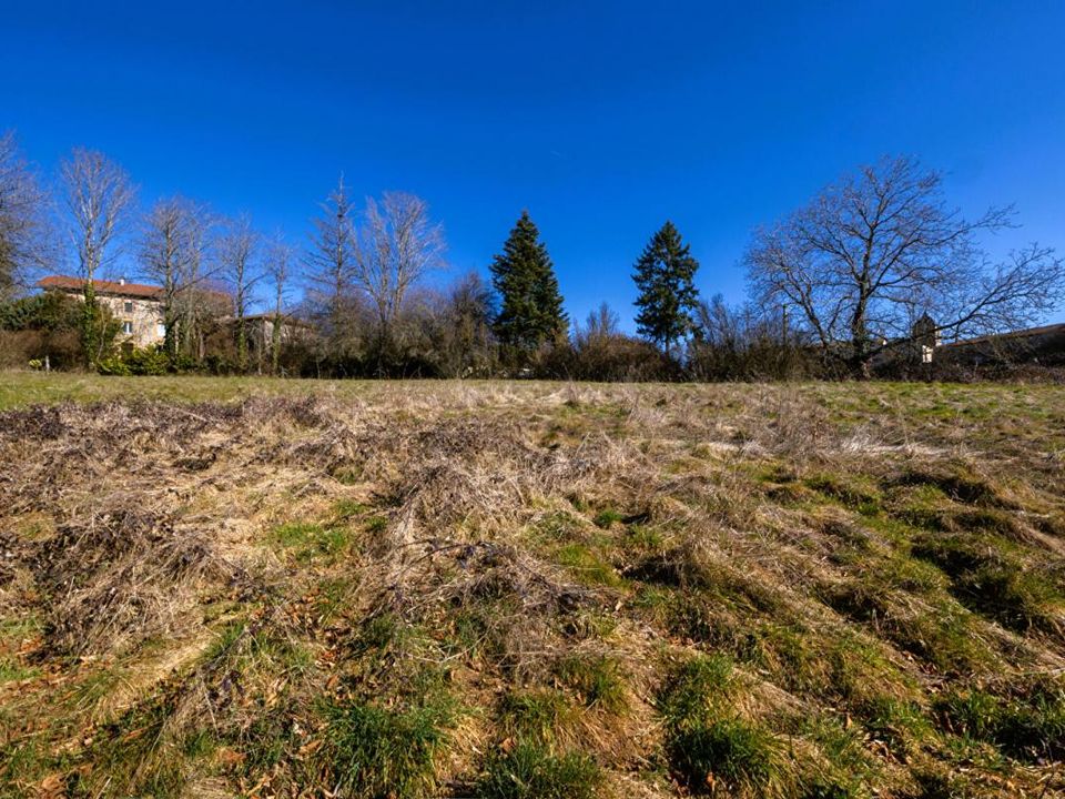 Terra a Sainte-Agathe-en-Donzy, Loire - foto 2